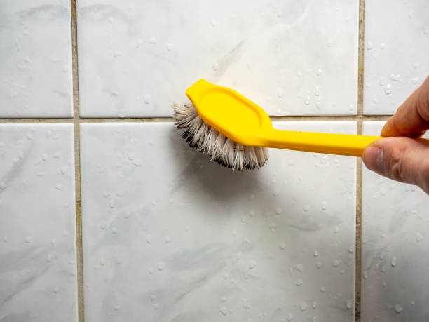 Best Preventive Mold Services in Opp, AL