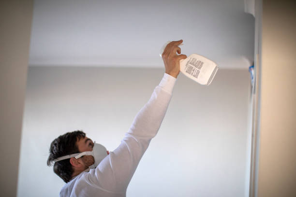 Best Post-Flood Mold Remediation in Opp, AL